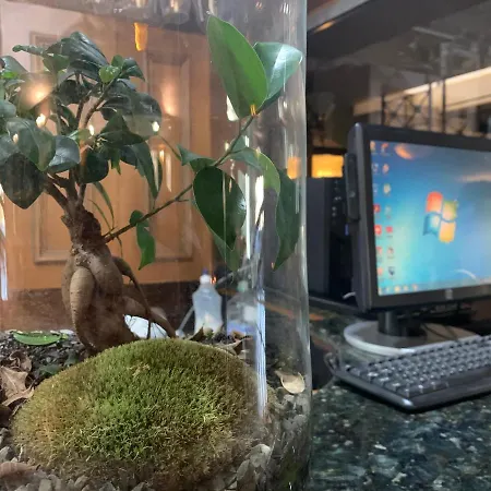 Asteri - Organic Food From Small Local Farms By Asteri 3*