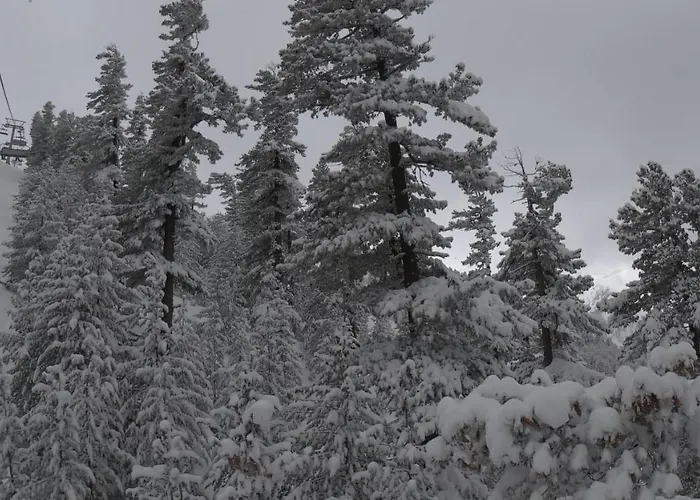 Asteri - Organic Food From Small Local Farms By Asteri بانسكو