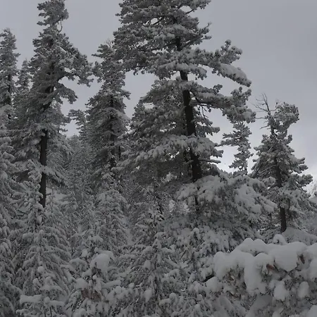 Asteri - Organic Food From Small Local Farms By Asteri Банско